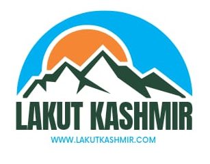 logo4